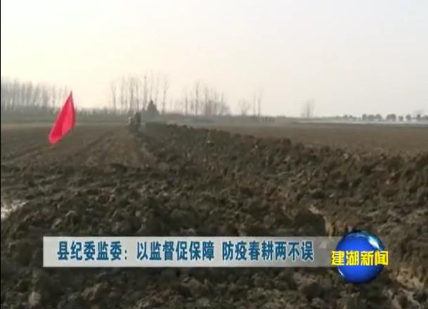 以监督促保障 防疫春耕两不误